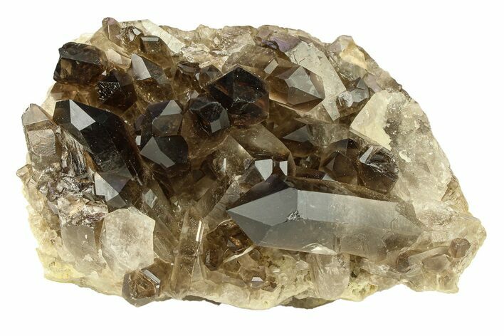 Dark Smoky Quartz Crystal Cluster - Brazil #302188